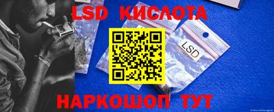 крисы Кулебаки