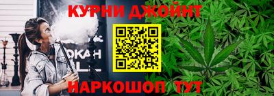 крисы Кулебаки