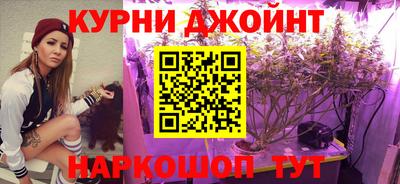 крисы Кулебаки