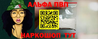 крисы Кулебаки