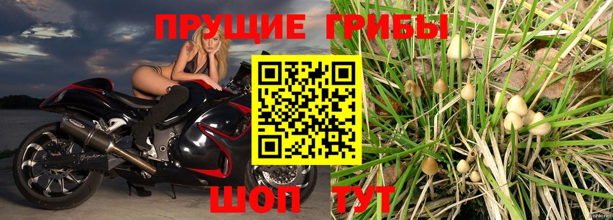 Галлюциногенные грибы мухоморы  Вход с VPN  Калининград 
